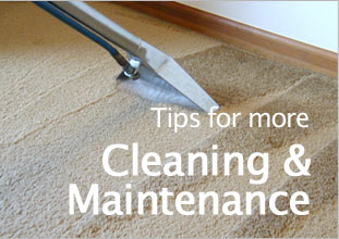 Tips for more Cleaning & Maintenance